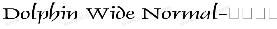 Dolphin Wide Normal字体转换